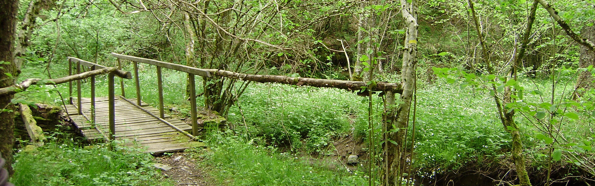 Commune de Roannes Saint-Mary - Cantal