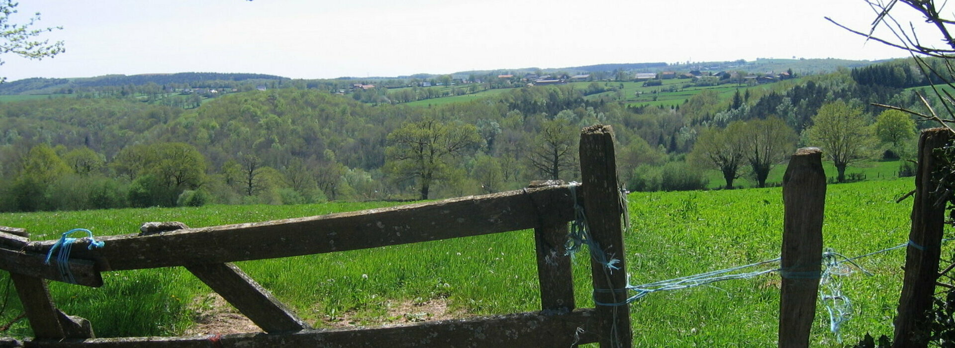 Commune de Roannes Saint Mary